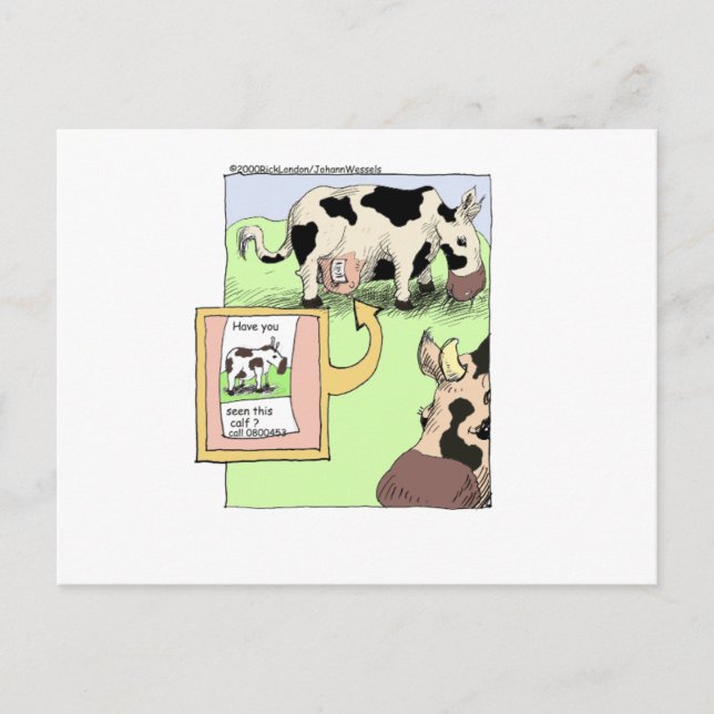 Missing Cow Funny Cartoon Gifts & Collectibles Postcard (Front)