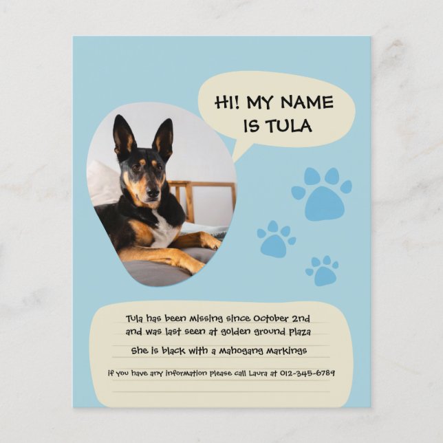 Missing Dog Modern Blue Photo Poster  Flyer (Front)