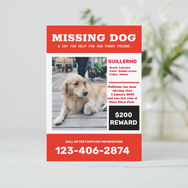 Missing dog photo ad poster invitation (Standing Front)