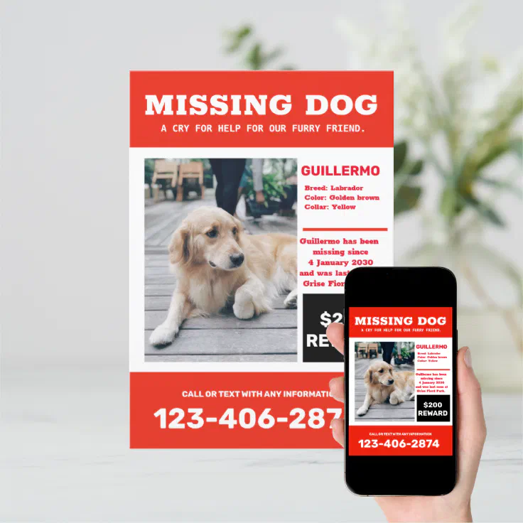 Missing Dog Photo Ad Poster Invitation 