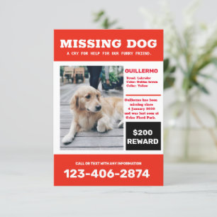 Missing dog photo ad poster invitation