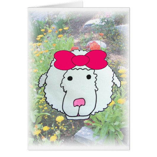 Missing Ewe Cards (Front)