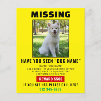Missing Pet Dog – Urgent Template Poster Flyer