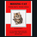 missing pet flyer,poster flyer<br><div class="desc">flyer to find your beloved pet easier.</div>