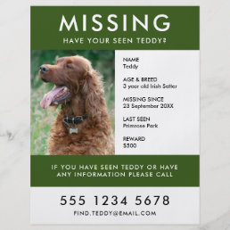 Missing Pet | Modern Green Photo Poster Flyer
