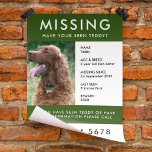 Missing Pet | Modern Green Photo Poster Flyer<br><div class="desc">A simple missing pet flyer poster template, to help spread awareness in the search of a missing dog, cat or other pet. The text is easy to personalize including name, age, breed, missing date, place last seen, reward or ther information. There is space to include a large phone number and...</div>