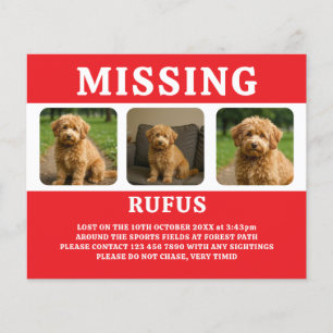 Missing Pet or Person Personalized Flyer