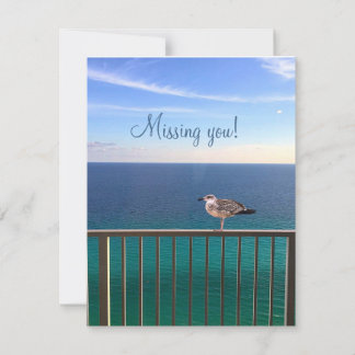 Missing you! A juvenile large white-headed gull Note Card