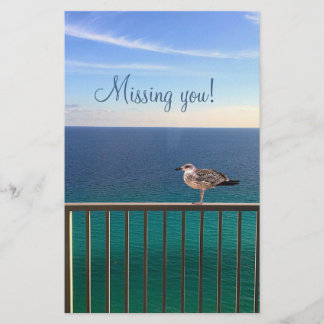 Missing you! A juvenile large white-headed gull Stationery