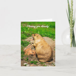 Missing you already! Black-Tailed Prairie Dog Letterpress Thank You Card