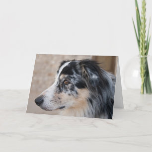Missing You Australian Shepherd Photo Template