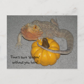 Missing You Bearded Dragon Postcard