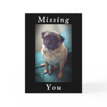 Missing You