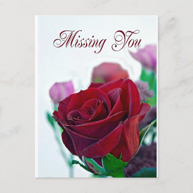 Missing you card with a classic red rose (Front)
