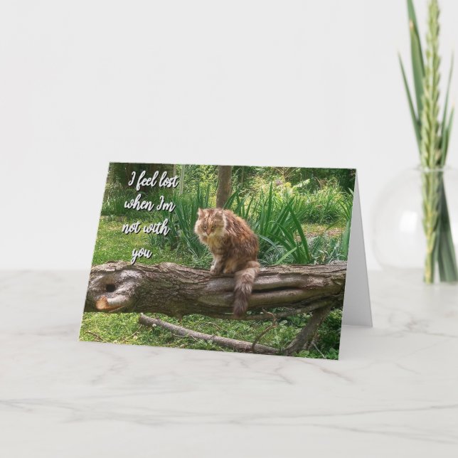 Missing You Cat Photo Folded Greeting Card (Front)