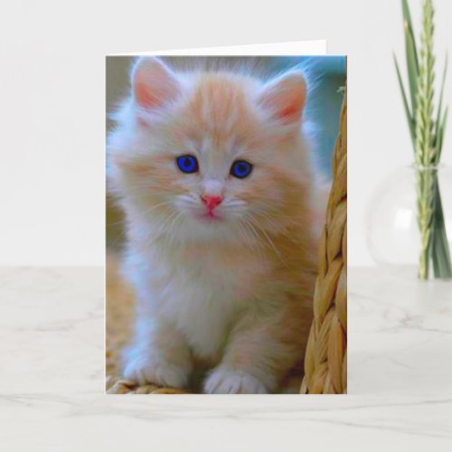 Missing You Cute Kitten Picture Card