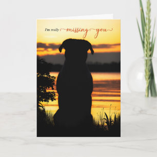 Missing You Dog Silhouette by a Sunset Lake Card