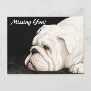 "Missing You" English Bulldog Postcard