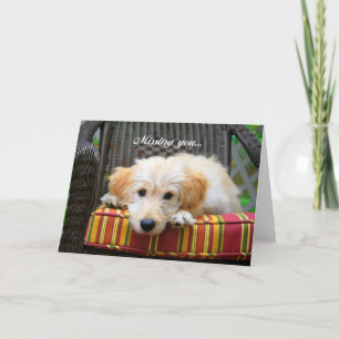 Missing You Golden Doodle Greeting Card