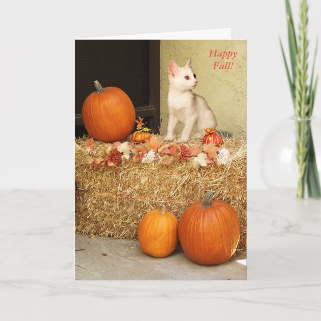 Missing You Halloween Kitten & Pumpkins Card (Front)