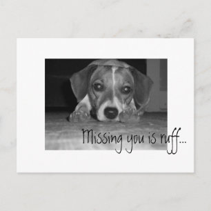 missing you is ruff!, Missing you is ruff... Postcard