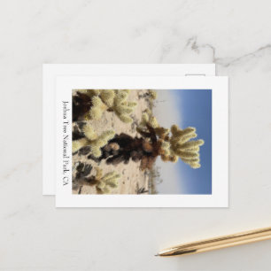 Missing you- Joshua Tree National Park, CA Postcard