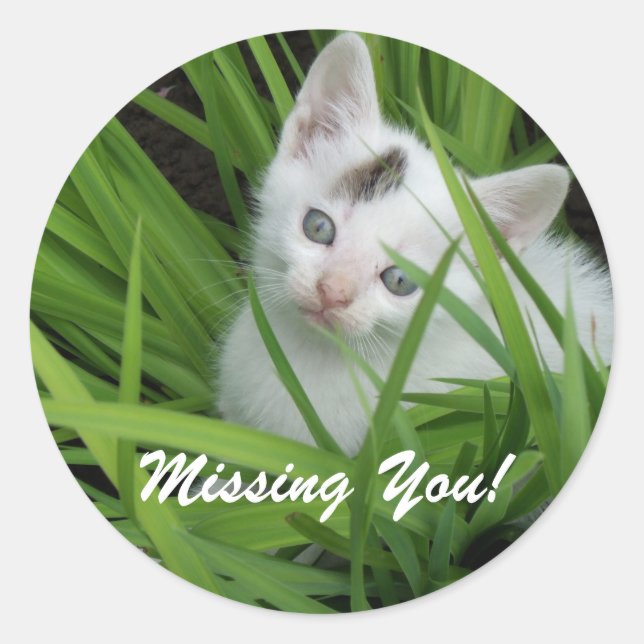 Missing You Kitten Classic Round Sticker (Front)