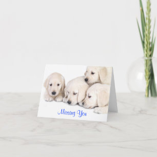 Missing You Labrador Retriever Puppies Card