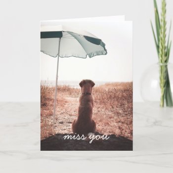 Missing You Lone Golden Retriever On Beach Card by Hannahscloset at Zazzle