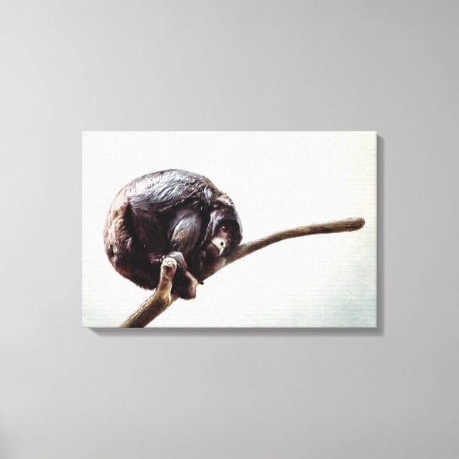 Missing You Lonely Urban Chimpanzee Monkey Canvas Print (Front)