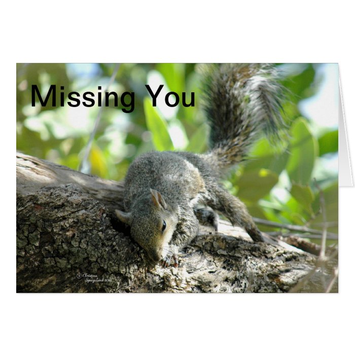 Missing You Love You squirrel Card