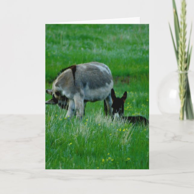 Missing You nature scene card (Front)