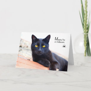Missing You on Halloween, Black Cat with Spider Card