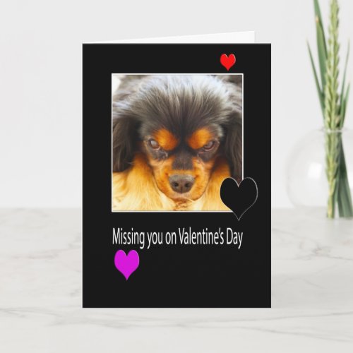 Missing you on Valentines Day With Dog Card
