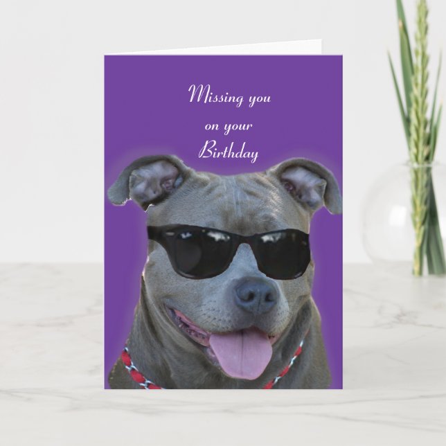 Missing you on your Birthday Blue pitbull Card (Front)