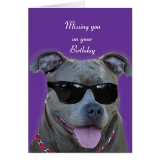 Pitbull Birthday Cards | Zazzle