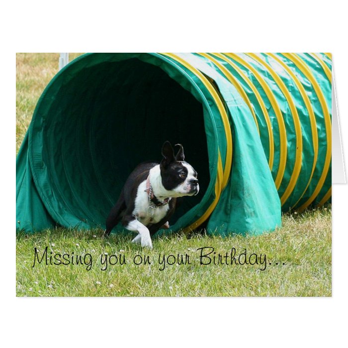 Missing you on your Birthday  Boston Terrier Card