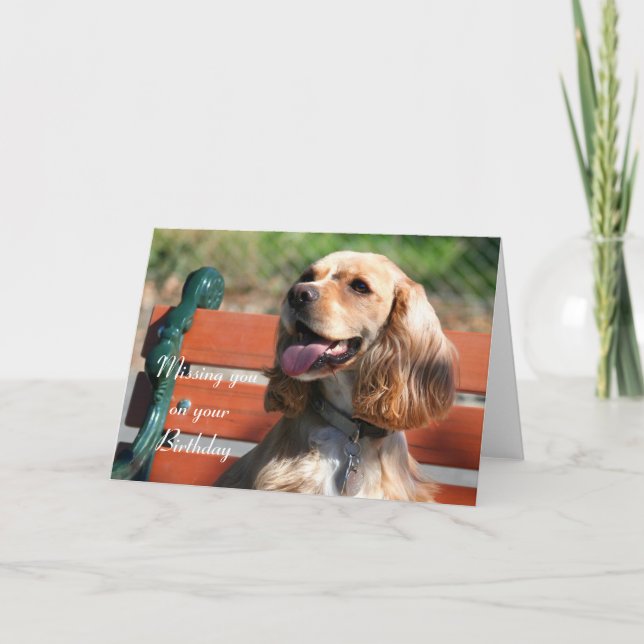 Missing you on your Birthday Cocker Spaniel card (Front)