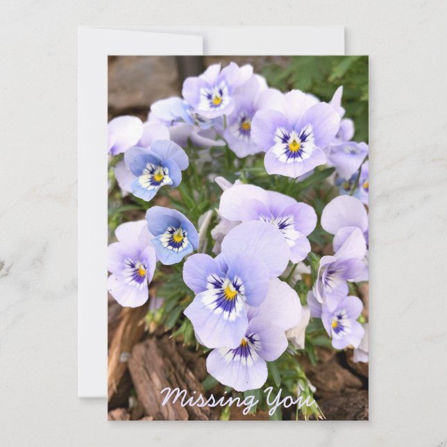 Missing You Pastel Purple Pansies Photo Custom Card (Front)
