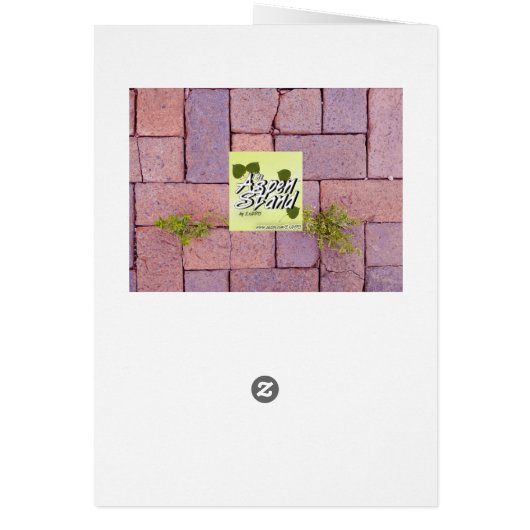 Missing You Paving Stones Weeds Walkway Photo (Back)