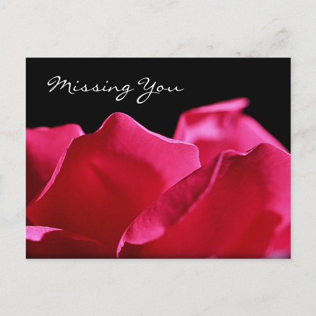 Missing You Pink Rose Petals Postcard (Front)