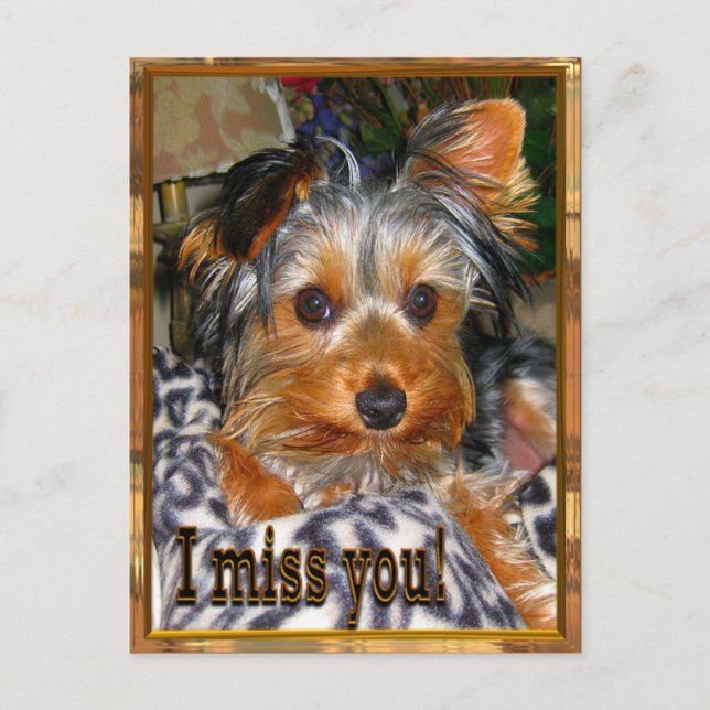 Missing YOU Postcard (Front)