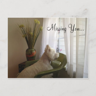Missing You... Postcard