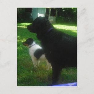 Missing you postcard