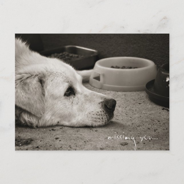 Missing you - Postcard (Front)