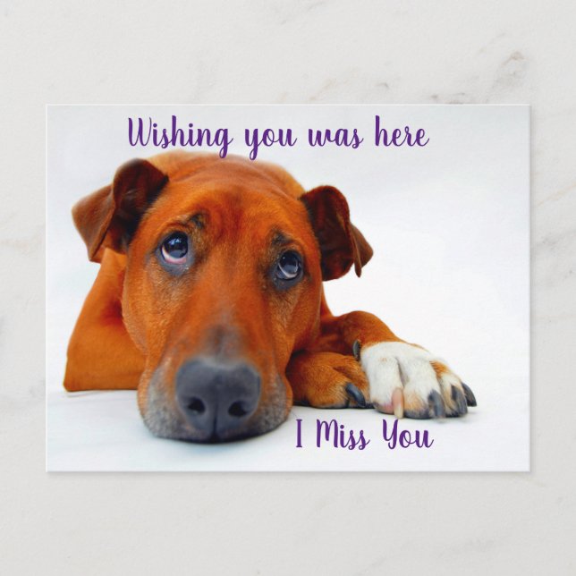 Missing you postcard (Front)