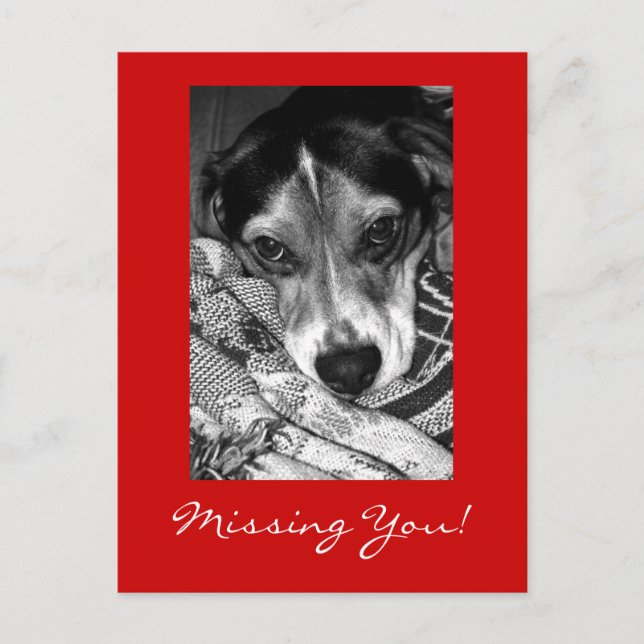 Missing You! Postcard (Front)