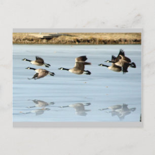 Missing you Postcard