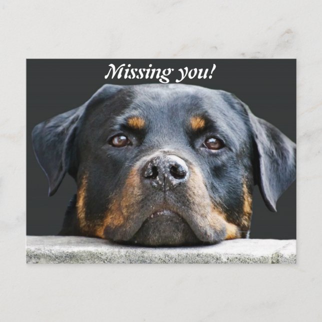 Missing you! postcard (Front)