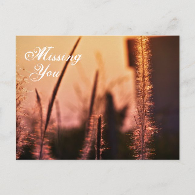 Missing you -  postcards (Front)